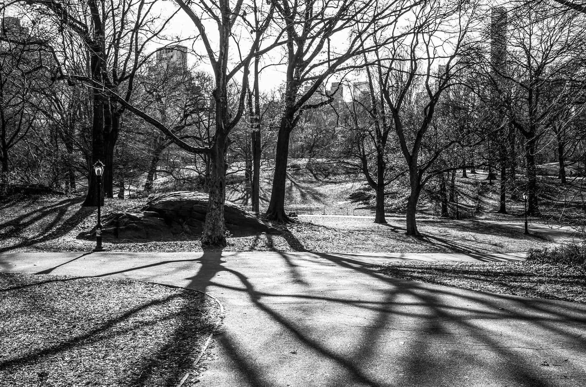 Ph. Giorgio Spoto – Central Park, 2019 Leica M Monochrom | Summilux 35mm f/1.4