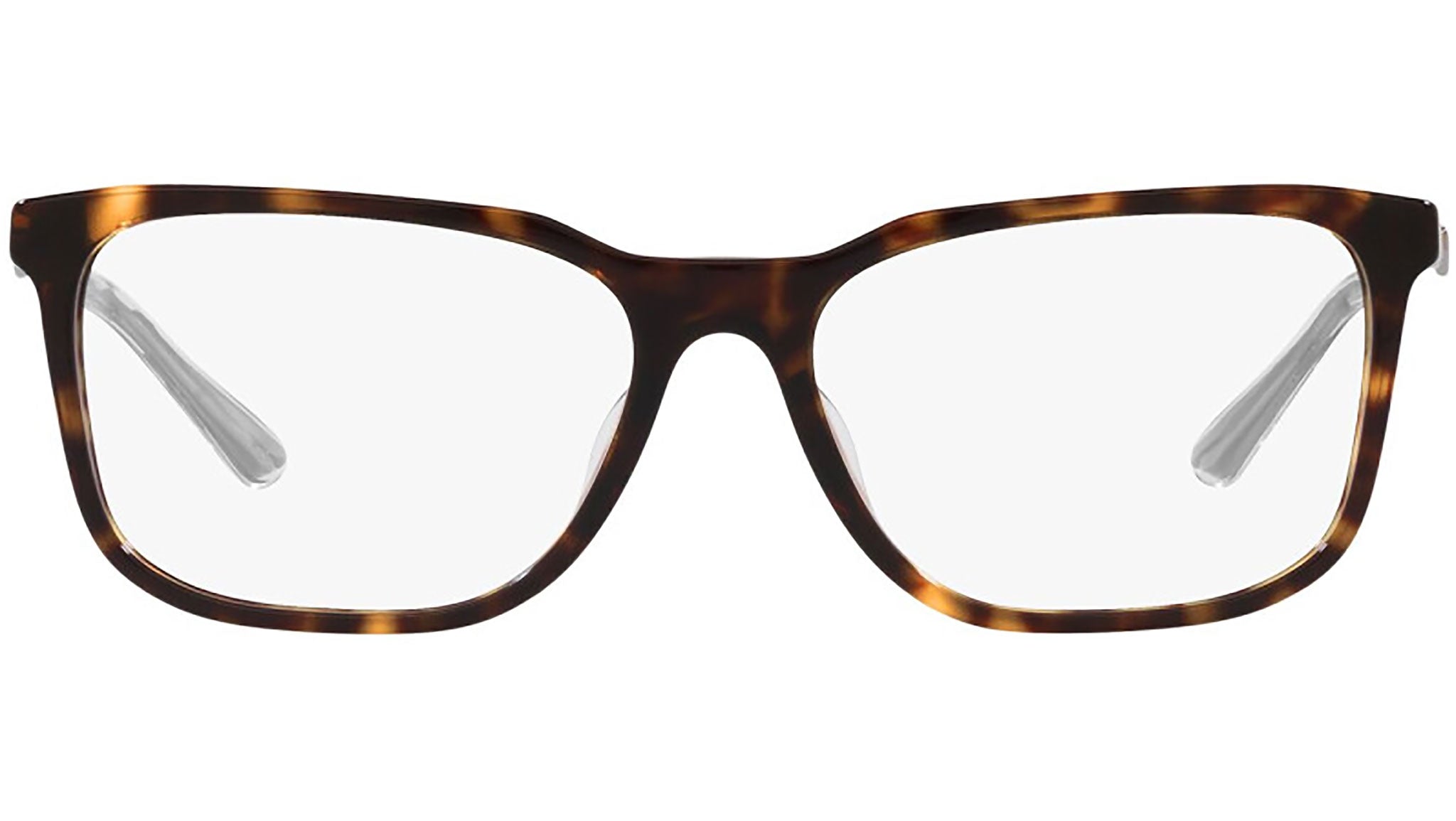 PR 05ZV tortoise